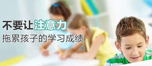 天津少儿专注力提高训练机构哪家好